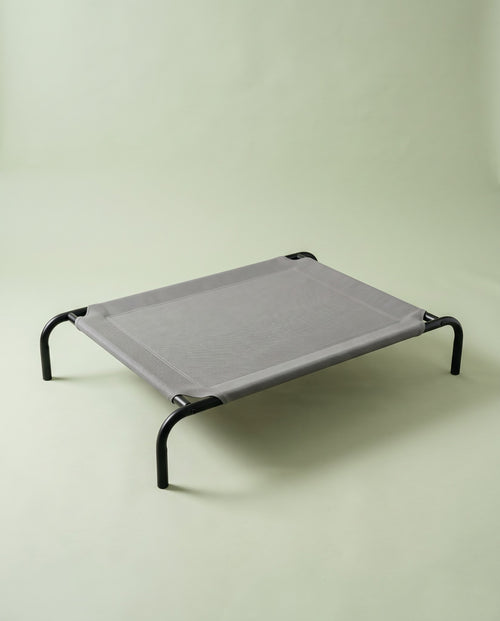 Elevated Dog Bed, Outdoor
