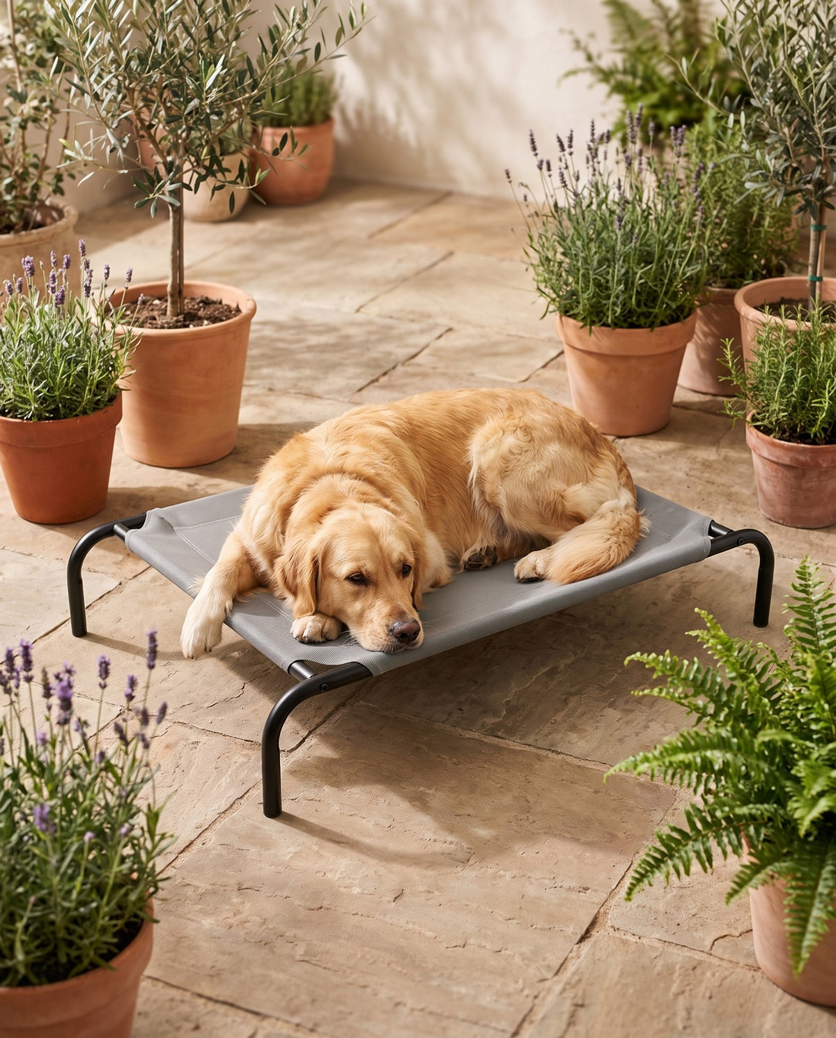 Elevated Dog Bed, Outdoor in use