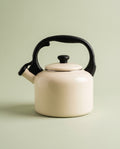 Enamel Stovetop Kettle, 2.5 L
