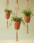 Hanging Planters, Set of 3