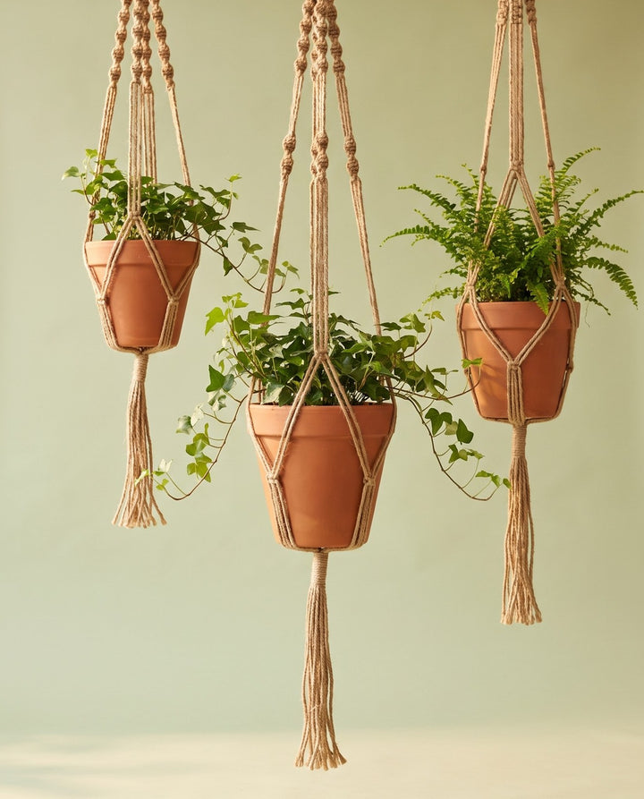 Hanging Planters, Set of 3