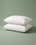 Memory Foam Pillows, Pair
