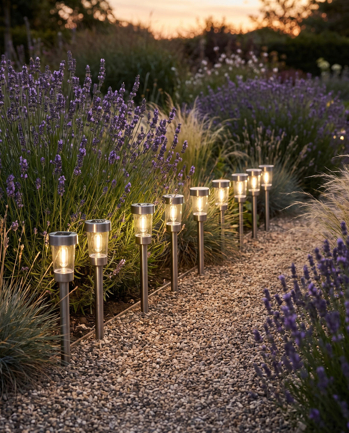 Solar Path Lights, Set of 8 in use